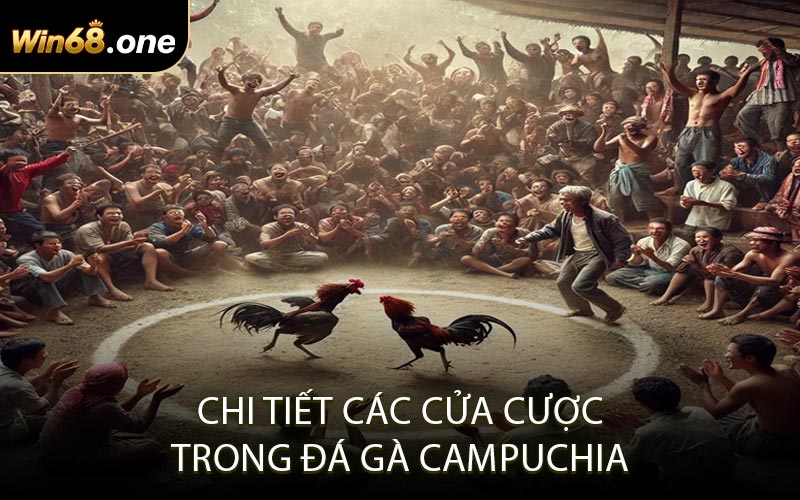 Chi tiết các cửa cược trong đá gà Campuchia