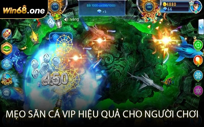 Mẹo săn cá VIP hiệu quả cho người chơi