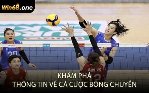 Khám phá thông tin về cá cược bóng chuyền