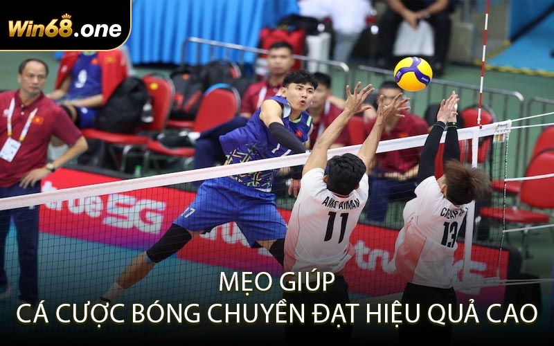 Mẹo giúp cá cược bóng chuyền đạt hiệu quả cao