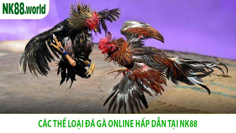 Các Thể Loại Đá Gà Online Hấp Dẫn Tại NK88